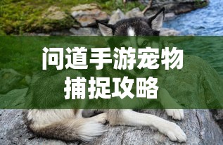 家教韩国电视剧全集在线观看  第1张