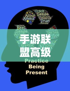 手游联盟高级设置详解，功能、特点与优势  第1张