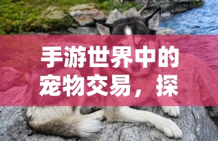 fateprototype动漫免费观看  第1张