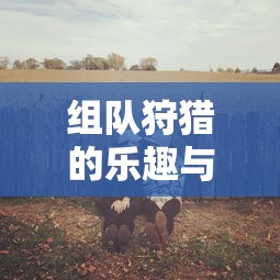 fifaonline手机助手  第1张
