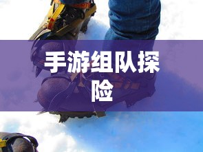 狩猎原野，手游组队探险的乐趣与挑战  第1张