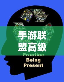 手游联盟高级设置详解，功能、特点与优势  第1张