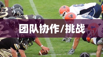 天地诸神今日开服表  第1张