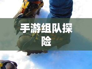 狩猎原野，手游组队探险的乐趣与挑战  第1张
