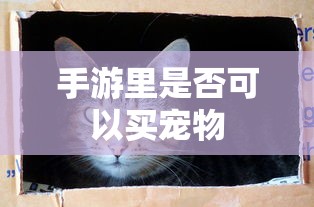 手游里是否可以买宠物  第1张