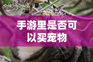 手游里是否可以买宠物  第1张