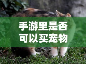 地面坍塌的成因与防治  第1张