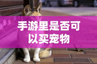手游里可以购买宠物  第1张