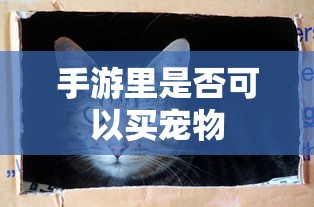 红旗ls5报价及图片  第1张