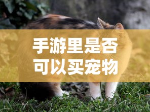 全新crv曝光  第1张