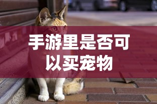 手游里可以购买宠物  第1张