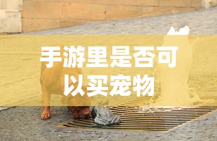 长城哈佛h6自动挡落地价  第1张