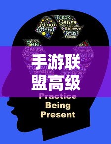 手游联盟高级设置详解  第1张
