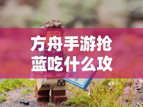海贼王休刊最新消息  第1张