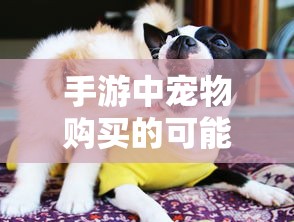 手游中宠物购买的可能性及其影响分析  第1张