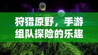 手游探险之旅，狩猎原野的组队乐趣  第1张