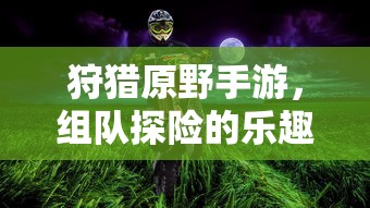 狩猎原野手游，组队探险的乐趣与挑战之旅  第1张