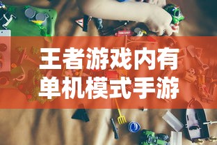 王者游戏单机模式探索，独立游戏的乐趣  第1张