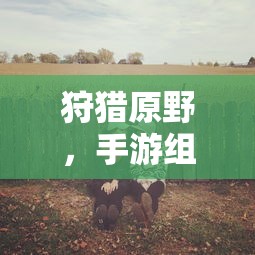 手游探险之旅，狩猎原野的组队乐趣  第1张