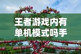 手游王者游戏单机模式深度解析  第1张