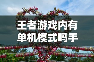 手游王者游戏单机模式深度解析  第1张
