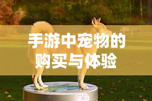 苍穹变官网下载  第1张