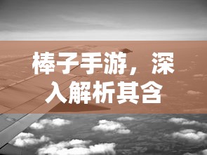 棒子手游，内涵与影响力深度解析  第1张