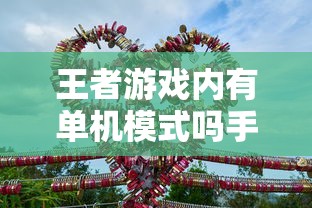 手游王者游戏单机模式深度解析  第1张
