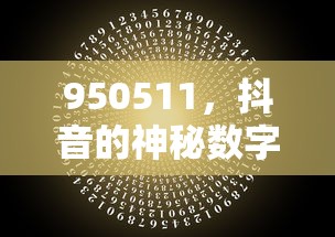 抖音神秘数字之谜，揭秘950511的背后故事  第1张