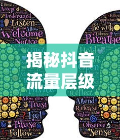 揭秘抖音流量层级，真相揭露，是否真的存在？  第1张