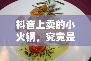 抖音上卖的小火锅，真伪辨析  第1张