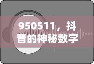 抖音神秘数字之谜，揭秘950511的背后故事  第1张