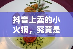 抖音上卖的小火锅，真伪辨析  第1张