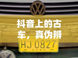 原耽小说推荐  第1张