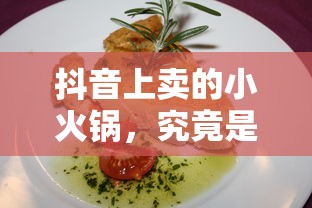 抖音上卖的小火锅，真伪辨析  第1张