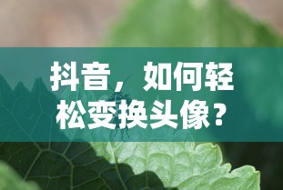 抖音轻松变换头像的步骤指南  第1张