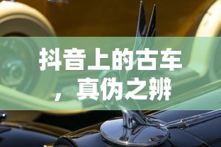 fgo南丁格尔设定  第1张