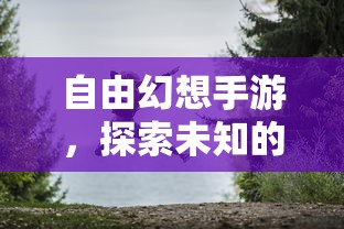 自由幻想手游，探索未知的冒险之旅  第1张