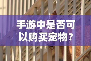 CF手游礼包性价比与合算性分析  第1张