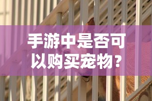 手游中是否可以购买宠物？  第1张