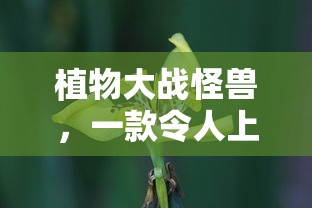 西瓜影院2021最新电视剧在线观看  第1张