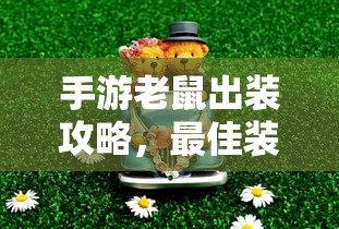 手游老鼠出装攻略，最佳装备选择与解析  第1张