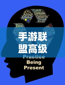 官方问道手游，退钱政策与玩家权益保障  第1张