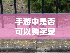 刹车油dot4可以换dot5吗  第1张