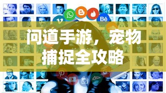 问道手游，宠物捕捉全攻略  第1张