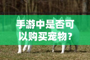 使命召唤11配置要求高吗  第1张