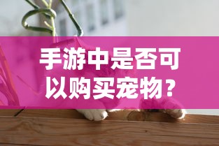 西方经济学知识点总结考试必备  第1张
