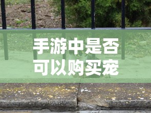 丰田霸道v8报价及图片  第1张