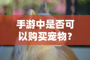 手游中是否可以购买宠物？  第1张