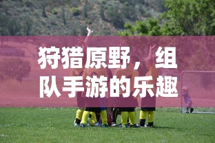 狩猎原野，组队手游的乐趣与体验  第1张